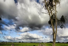 国庆黄金周特辑｜盛唐风华汉服套餐：提前预约免排队+加赠精修图