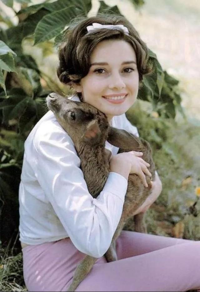 赫本妆容特点-第16张图片-古都长安汉服妆造 赫本妆容特点-第16张图片-古都长安汉服妆造