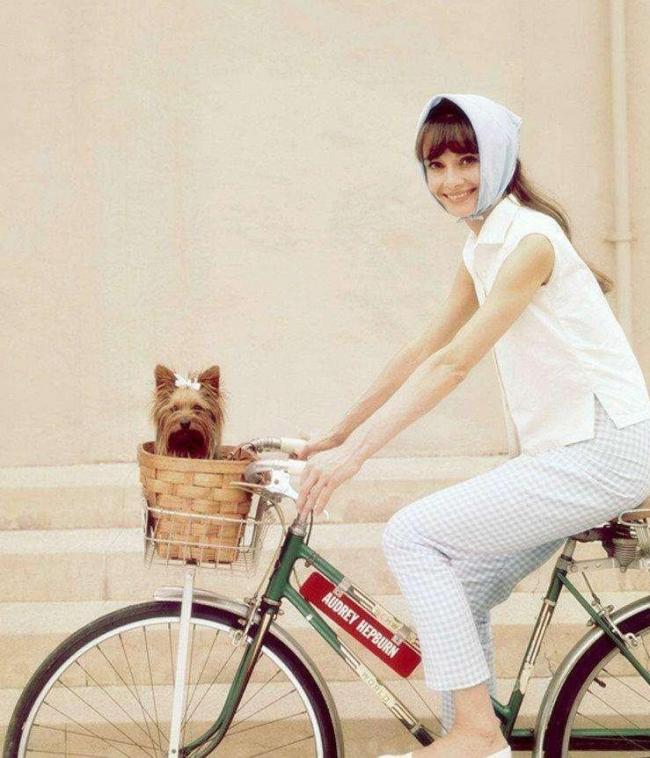 赫本妆容特点-第17张图片-古都长安汉服妆造 赫本妆容特点-第17张图片-古都长安汉服妆造