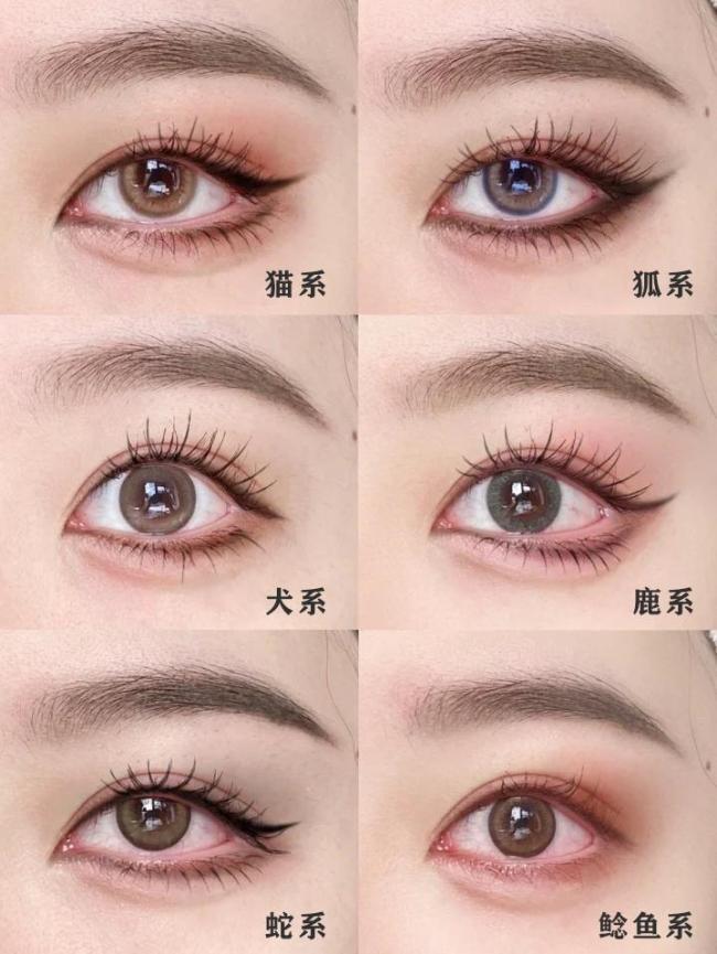 动物妆面-第1张图片-古都长安汉服妆造体验馆 动物妆面-第1张图片-古都长安汉服妆造体验馆